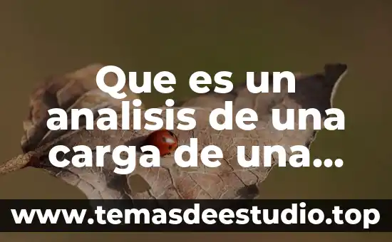 Que es un analisis de una carga de una empresa
