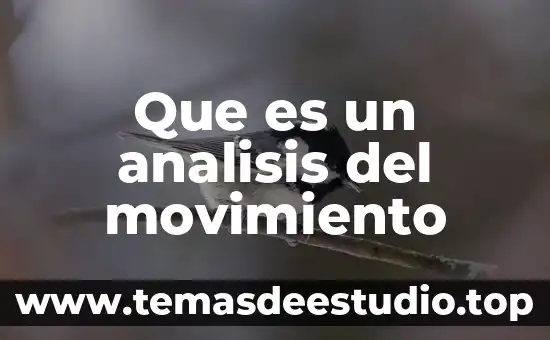 Que es analisis literareo 3 Que es un analisis del movimiento
