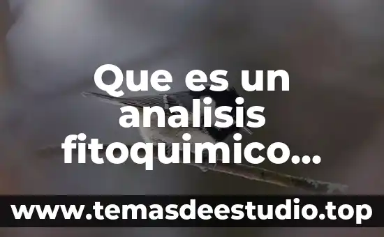 Conclusión de que es análisis 4 Que es un analisis fitoquimico preliminar