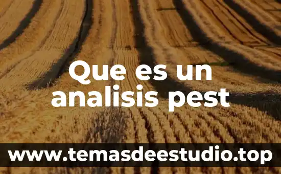 Que es un analisis pest