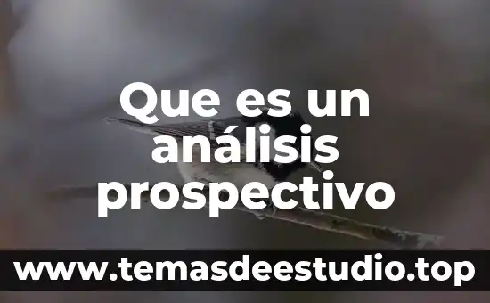 Que es analisis literareo 7 Que es un análisis prospectivo