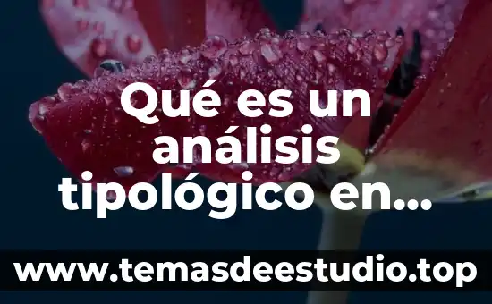 Que es la arquitectura paleolítica probens 6 Qué es un análisis tipológico en arquitectura