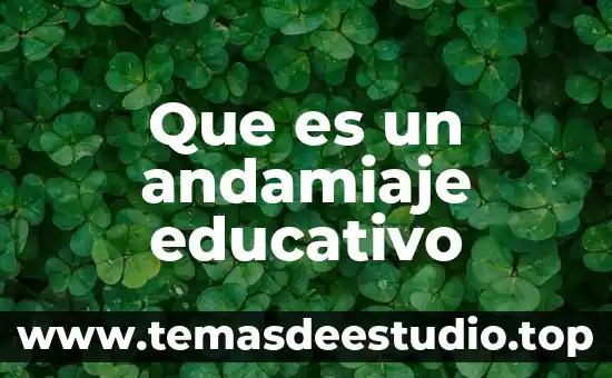 Que es el funcionalismo en arquitectura 7 Que es un andamiaje educativo