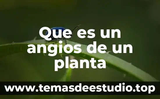 Qué es la saliva planta o arbusto 8 Que es un angios de un planta