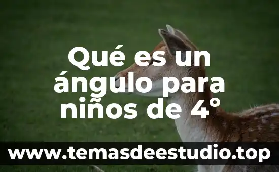 Para que es el metamizol sodico en niños 5 Qué es un ángulo para niños de 4º