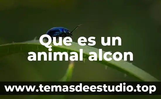 Que es drosophila y que animal es 5 Que es un animal alcon