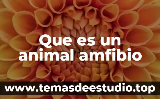 Que es la proteccion animal mundial 3 Que es un animal amfibio