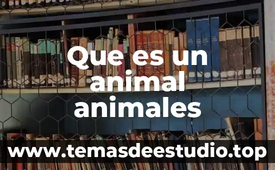 Que es lo que causa que los animales se extingan 8 Que es un animal animales