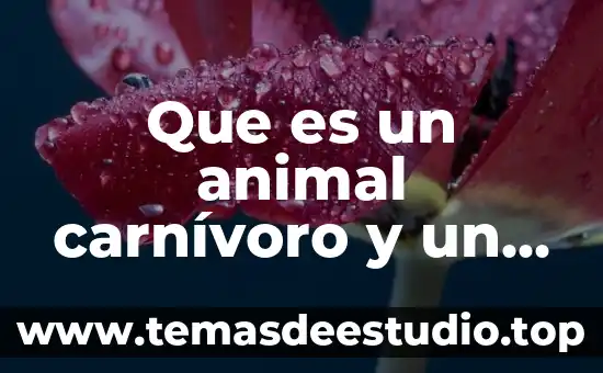 Que es lo que tenemos que ninguun otro animal tiene 4 Que es un animal carnívoro y un herbívoro