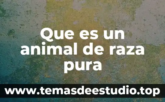 Qué es un elemento y sustancia pura 3 Que es un animal de raza pura