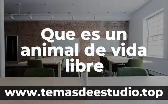 Que es la vida en las grandes ciudades 8 Que es un animal de vida libre