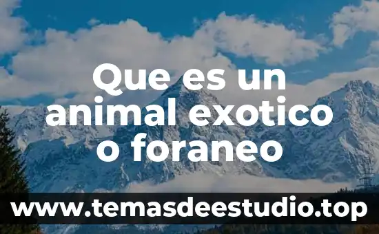 Que es lo que tenemos que ninguun otro animal tiene 3 Que es un animal exotico o foraneo