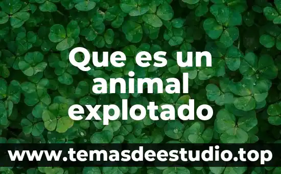 Que es la proteccion animal mundial 5 Que es un animal explotado