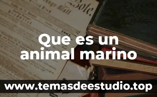 Qué es zoología animal 8 Que es un animal marino