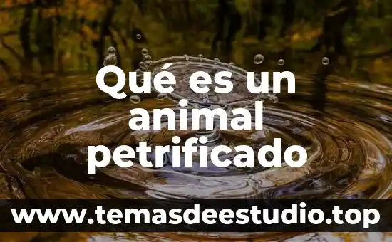 Soñar con animal muerto 7 Qué es un animal petrificado
