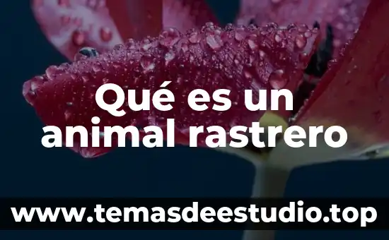 Soñar con animal muerto 6 Qué es un animal rastrero