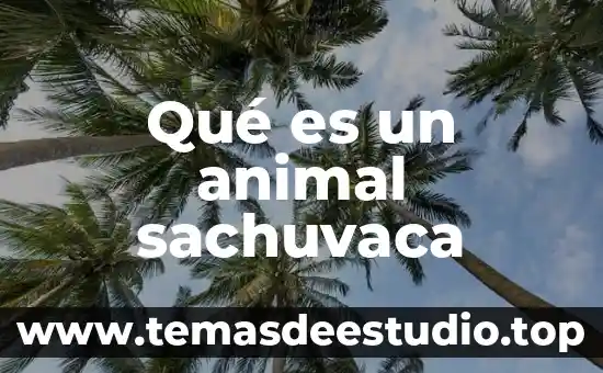 Que es el numero consecutivo del formulario 6 Qué es un animal sachuvaca