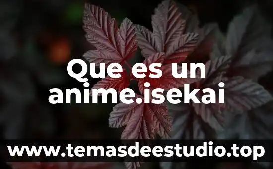 Adquisiciones por extranjeros que es 8 Que es un anime.isekai