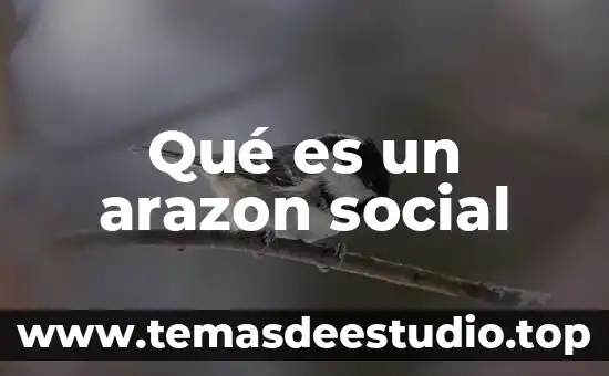 Que es justicia social maria de la luz lima malvido 7 Qué es un arazon social