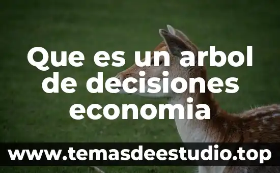 Que es un arbol de decisiones economia
