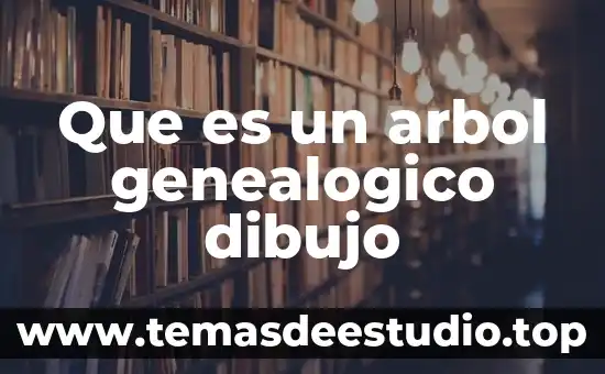 Qué es un ajuste en un dibujo de definición 7 Que es un arbol genealogico dibujo