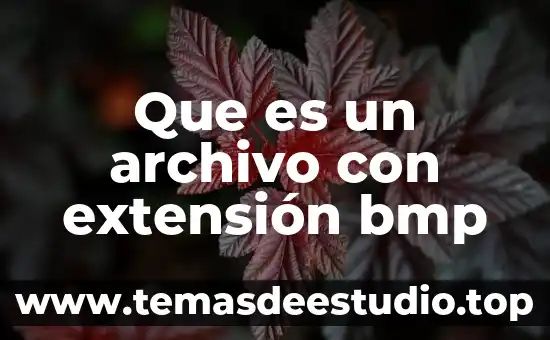 Que es el archivo gfxui 3 Que es un archivo con extensión bmp
