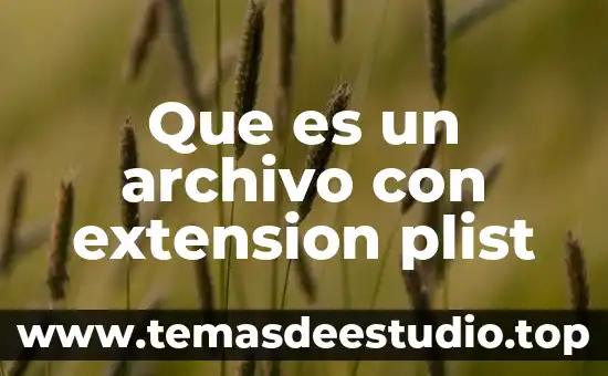 Que es un archivo con extension plist