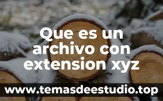 Que es un archivo con extension xyz