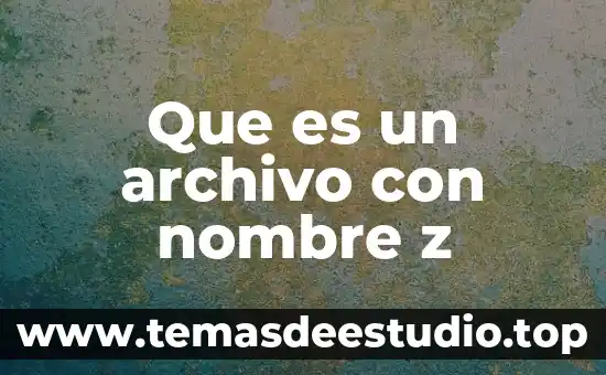 Que es un dato de archivo adjunto 5 Que es un archivo con nombre z
