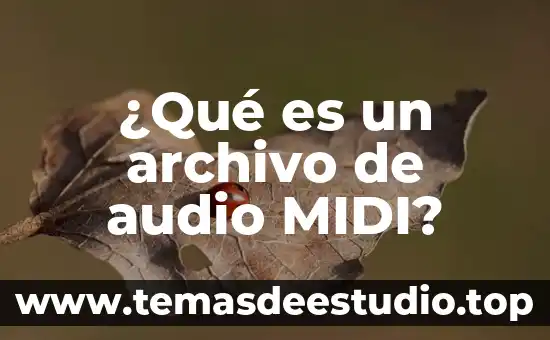 Que es un archivo prl 3 ¿Qué es un archivo de audio MIDI?