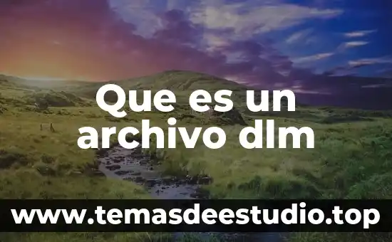 Que es un archivo dlm