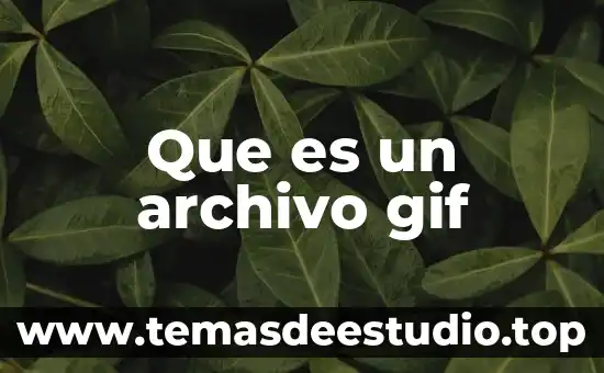 Que es un archivo gif