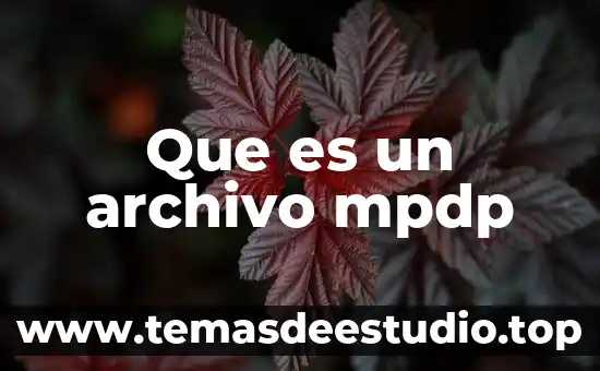 Que es un archivo mpdp