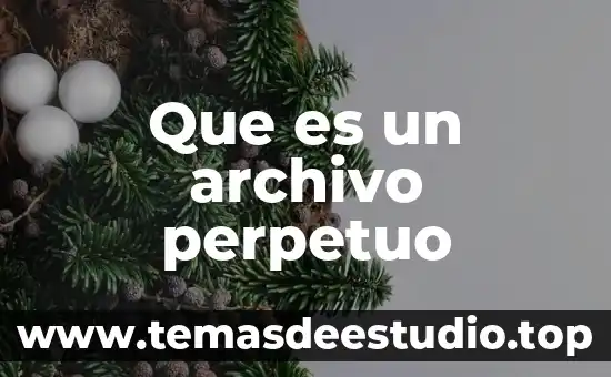 Que es el archivo gfxui 5 Que es un archivo perpetuo