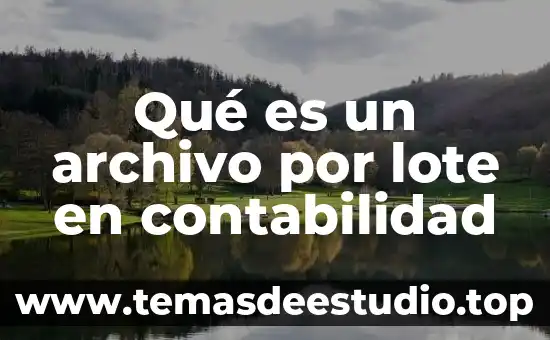 Concepto de que es lote por lote en inventarios 7 Qué es un archivo por lote en contabilidad