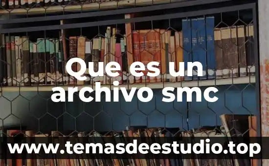 Que es el archivo gfxui 7 Que es un archivo smc