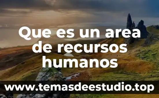 Qué es la cdn en derechos humanos 7 Que es un area de recursos humanos