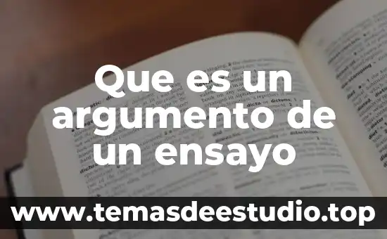 Que es un argumento de un ensayo