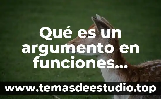 Qué es un punto en matemáticas 5 Qué es un argumento en funciones matemáticas