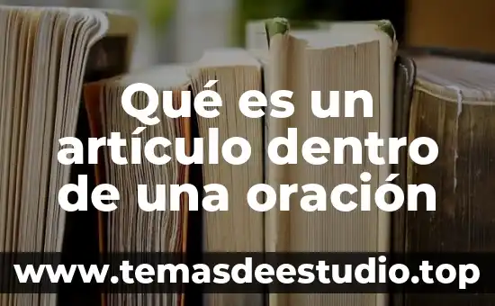 Que es la oración de yuxtapuestas y ejemplos 8 Qué es un artículo dentro de una oración