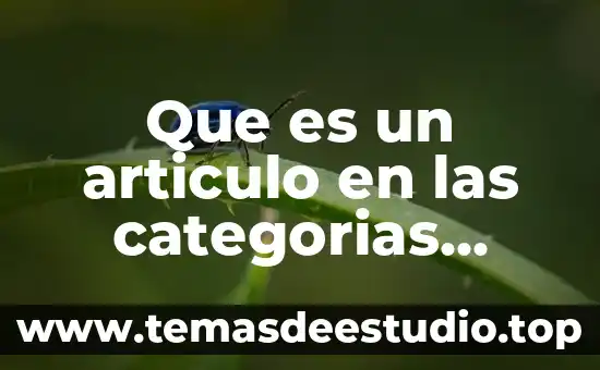 Qué es un artículo constitucional concepto 6 Que es un articulo en las categorias gramaticales