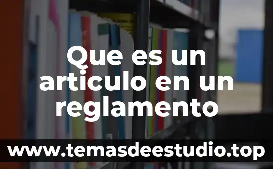 Que es cordao capoeira significado 7 Que es un articulo en un reglamento