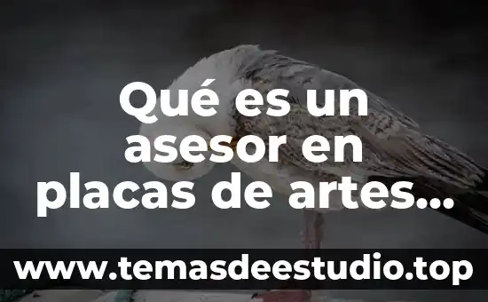 Qué es movimiento de transformante placas tectónicas 3 Qué es un asesor en placas de artes gráficas