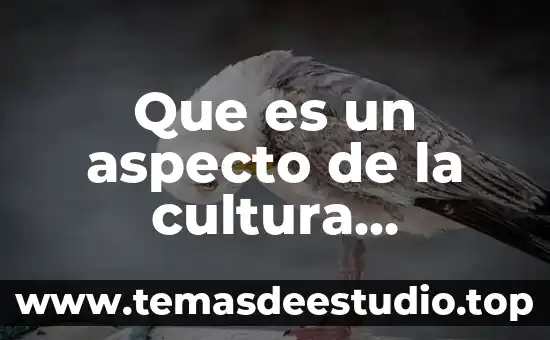 A que es cultura pertenece altotonga 8 Que es un aspecto de la cultura emergente