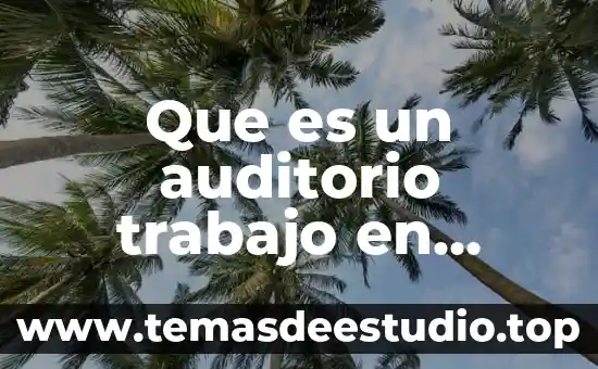 Que es ser little bdsm 4 Que es un auditorio trabajo en word
