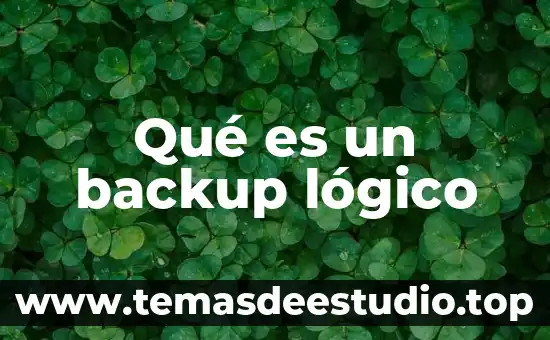 Qué es el pensamiento lógico matemático según Piaget 4 Qué es un backup lógico