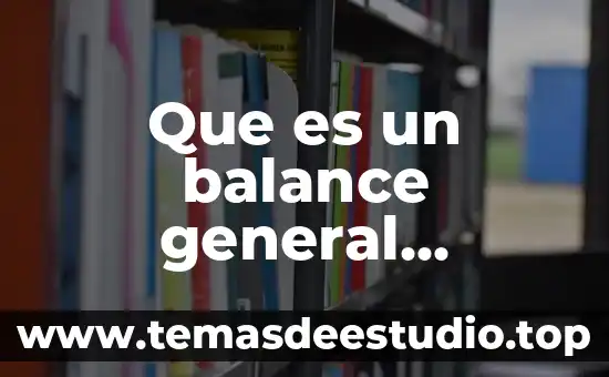 Que es un balance general explicacion sencillo