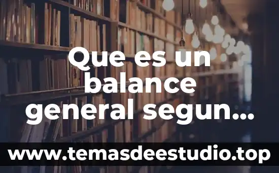 Que es un balance general segun elias lara