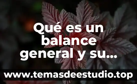Qué es un balance general y su objetivo