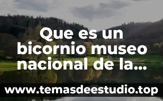 Por que es importante conocer la revolución de octubre 5 Que es un bicornio museo nacional de la revolucion
